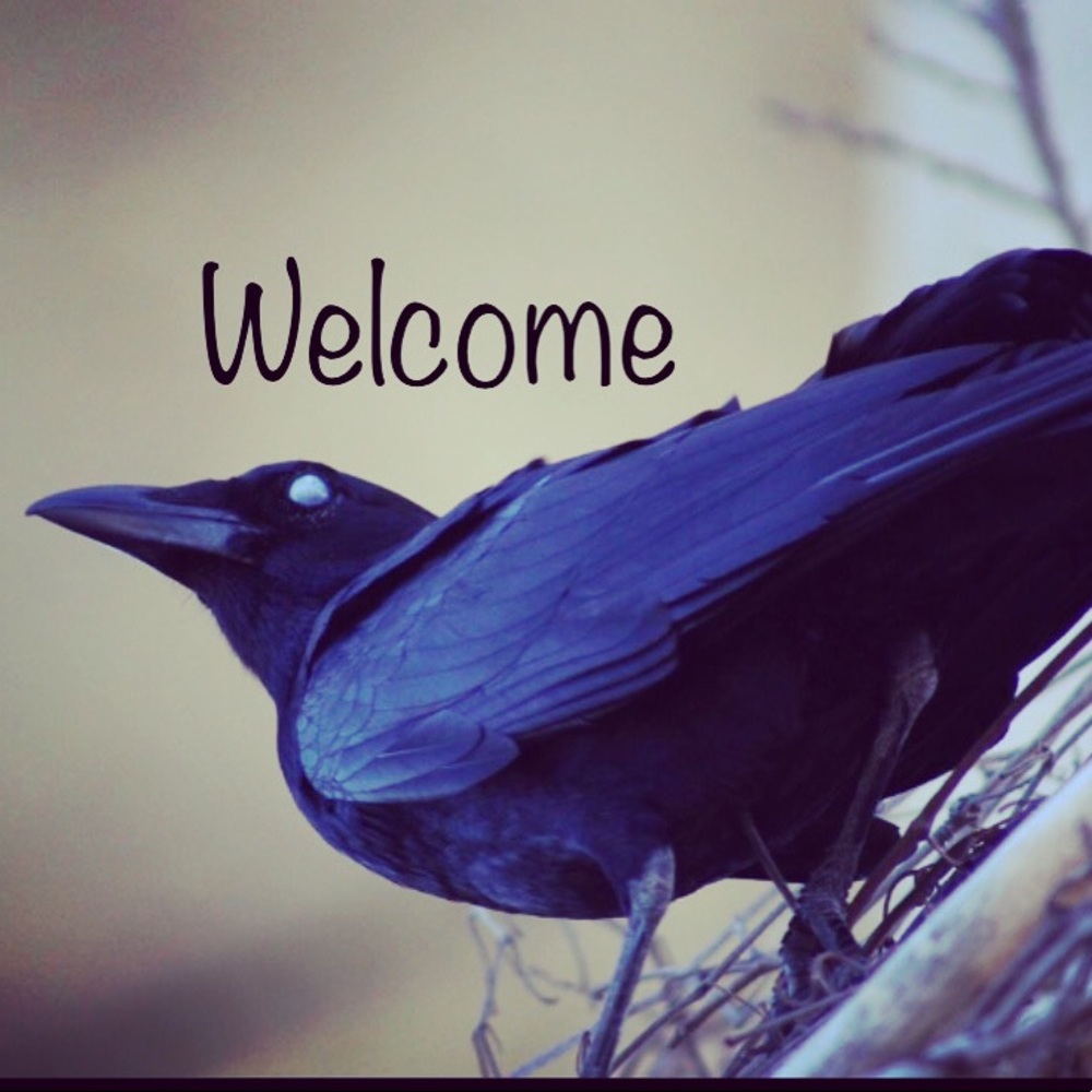 Meet your Posher, Marie
